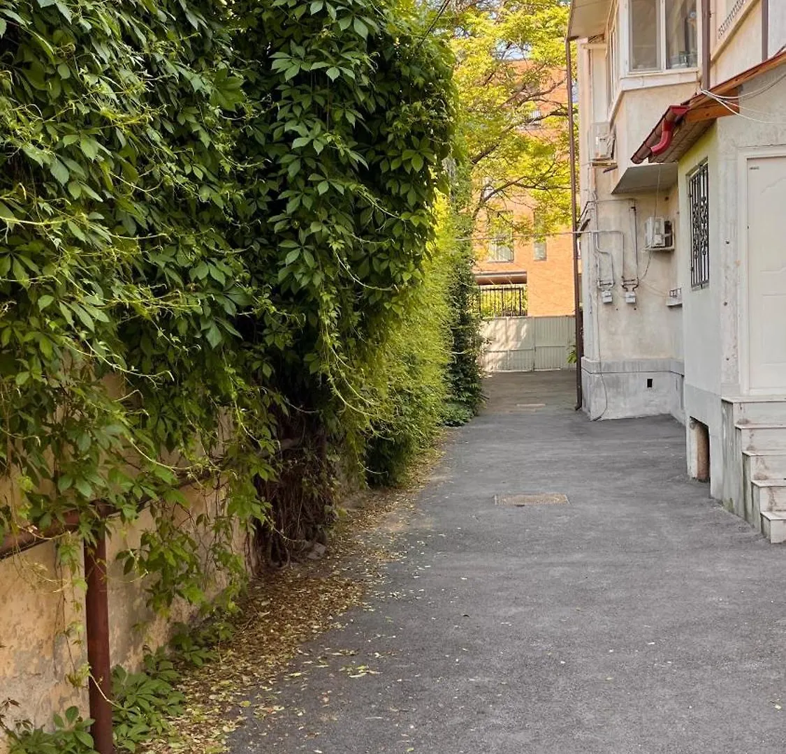 Apartament Bc14 Cosy Sunlit Studio Bucureşti România